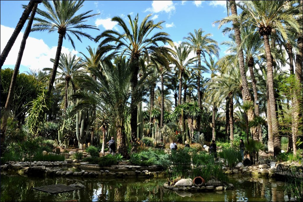 Palm Groves, The Paradise of Elche