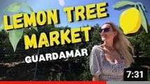 Sunday Lemon Tree Market, Guardamar | El Raso Market